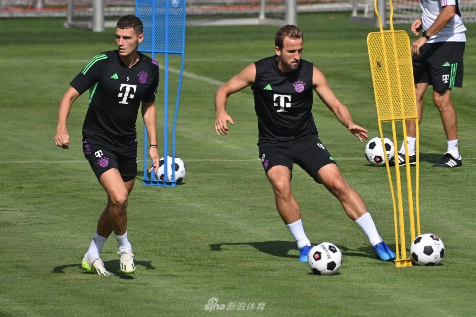 他们不仅是 他们不仅是